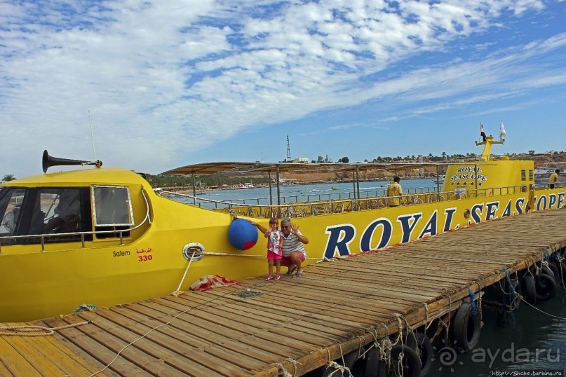 Хорошее подводное развлечение для детей и прабабушек Хорошее подводное развлечение для детей и прабабушек