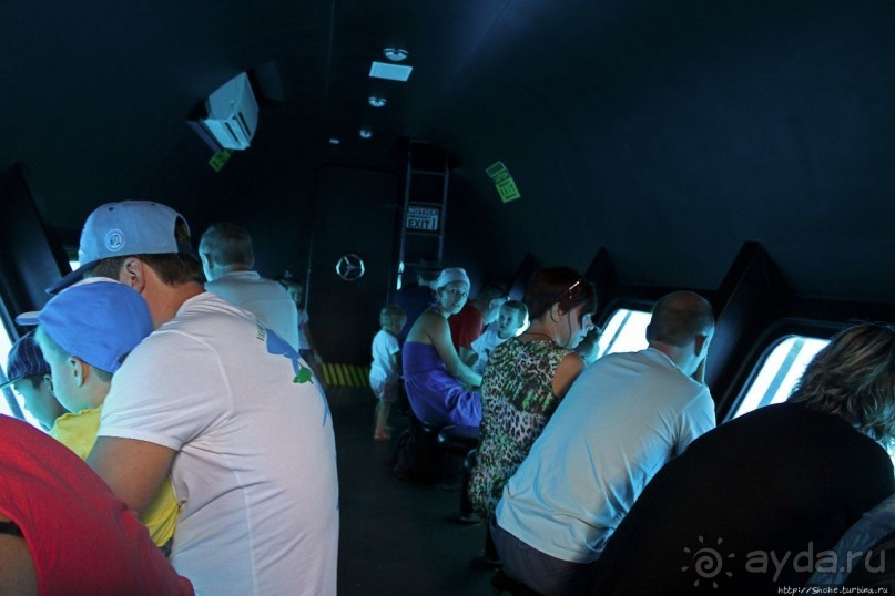 Хорошее подводное развлечение для детей и прабабушек Хорошее подводное развлечение для детей и прабабушек