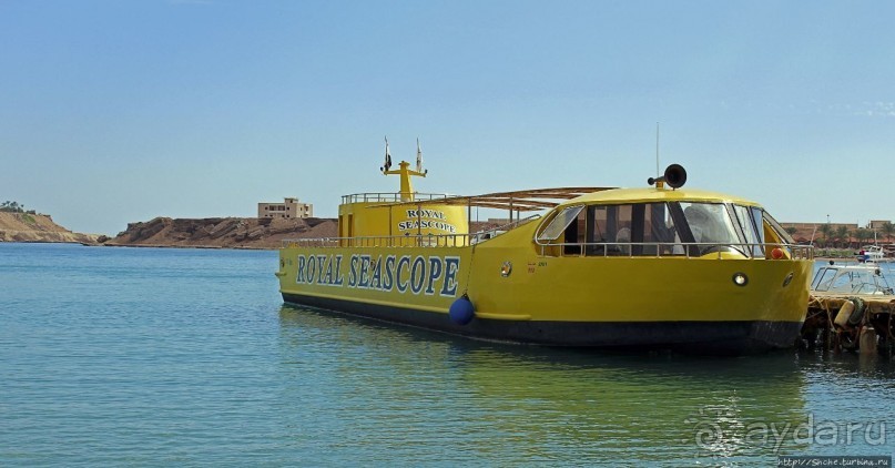 Хорошее подводное развлечение для детей и прабабушек Хорошее подводное развлечение для детей и прабабушек