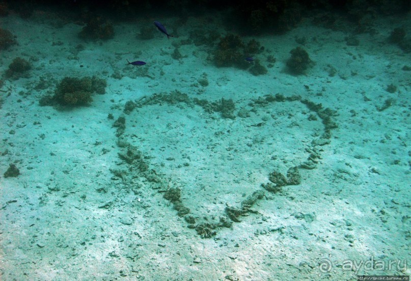 Хорошее подводное развлечение для детей и прабабушек Хорошее подводное развлечение для детей и прабабушек