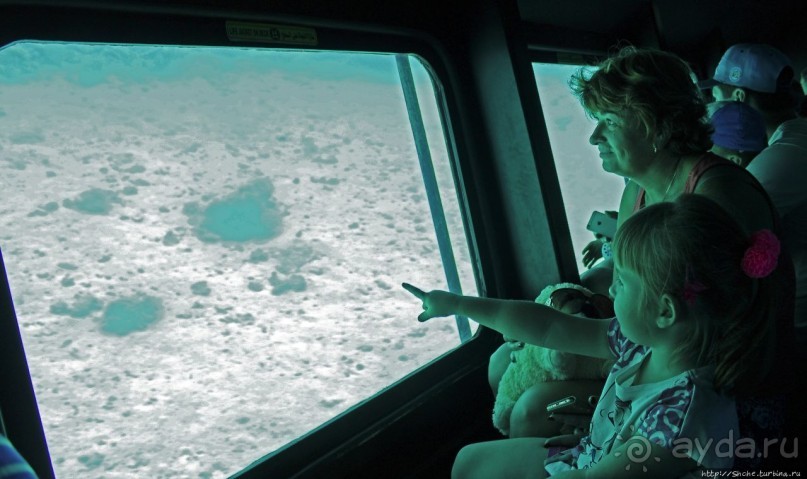 Хорошее подводное развлечение для детей и прабабушек Хорошее подводное развлечение для детей и прабабушек