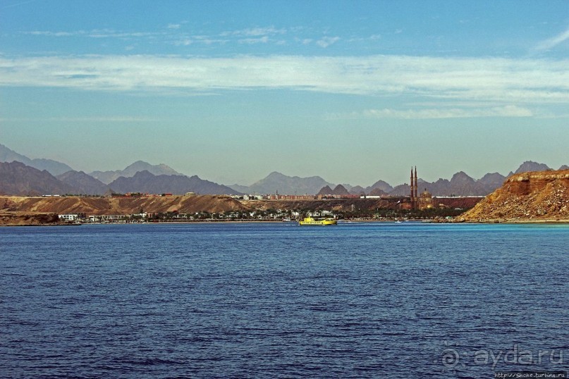 Хорошее подводное развлечение для детей и прабабушек Хорошее подводное развлечение для детей и прабабушек