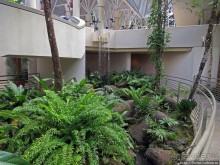 Посещение национального парка (леса) Эль Юнке