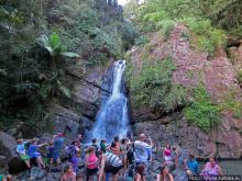 Альбом отзыва "Посещение национального парка (леса) Эль Юнке"