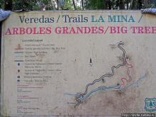 Посещение национального парка (леса) Эль Юнке