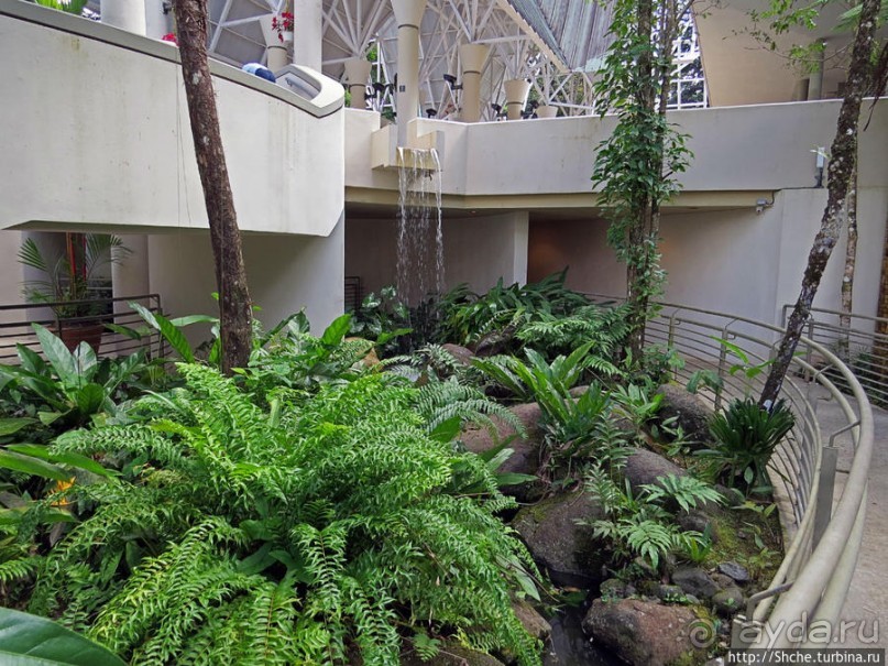 Посещение национального парка (леса) Эль Юнке