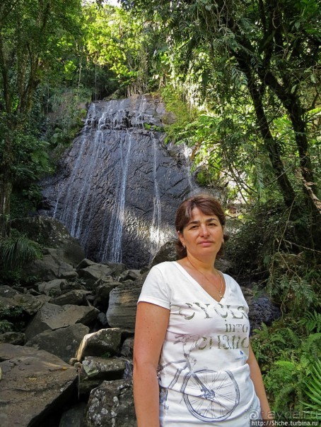 Посещение национального парка (леса) Эль Юнке