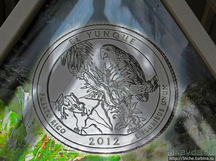 Посещение национального парка (леса) Эль Юнке