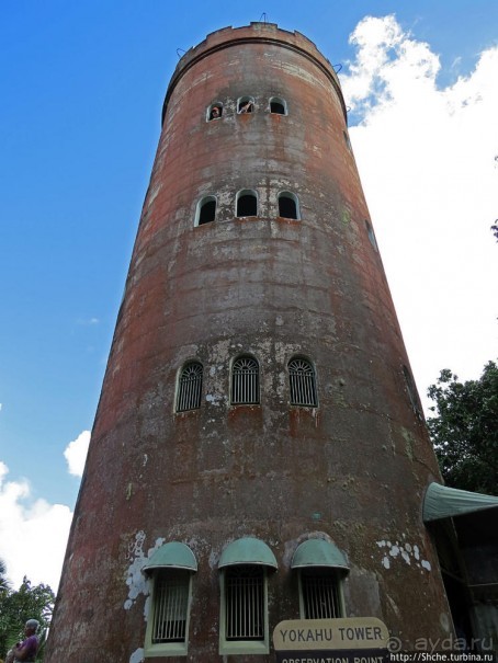 Посещение национального парка (леса) Эль Юнке