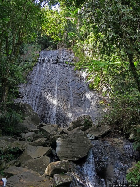 Посещение национального парка (леса) Эль Юнке