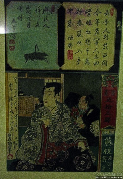 фото Мацумото