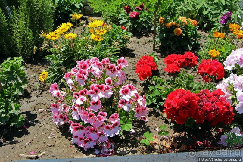 Каллифея — туристический центр полуострова Кассандра