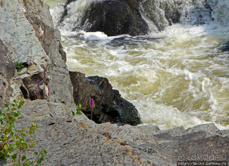 Оттава: Водопад "Спина свиньи"