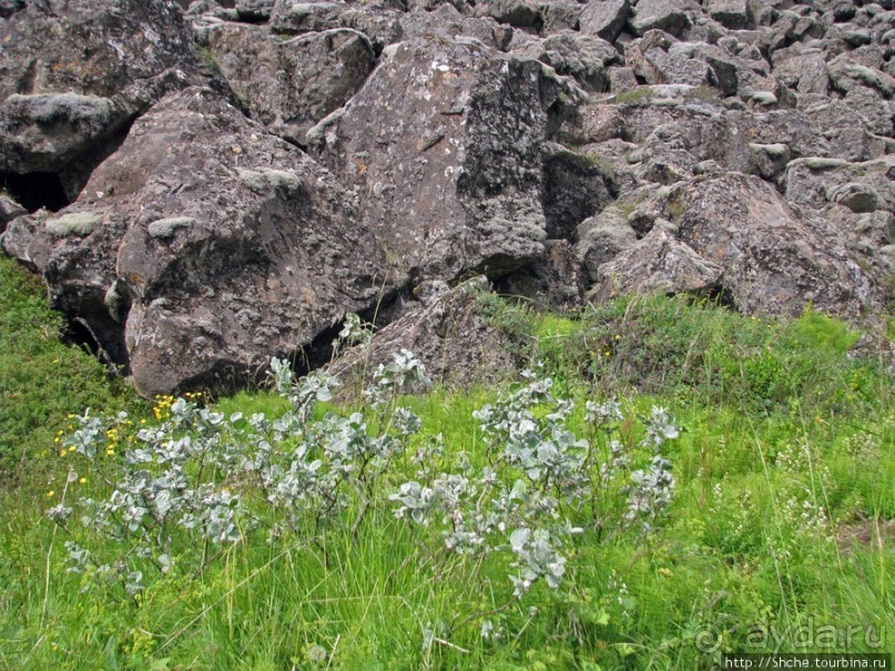 Pingvellir — здесь Европа расходится с Америкой