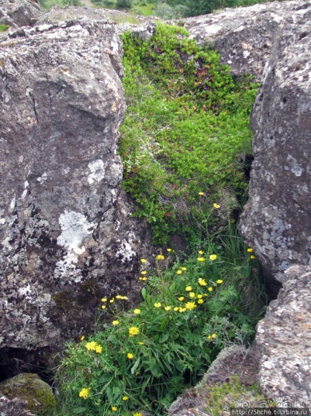 Pingvellir — здесь Европа расходится с Америкой