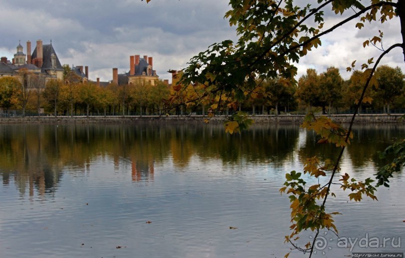 Осенние мотивы. Карповый пруд в Фонтенбло