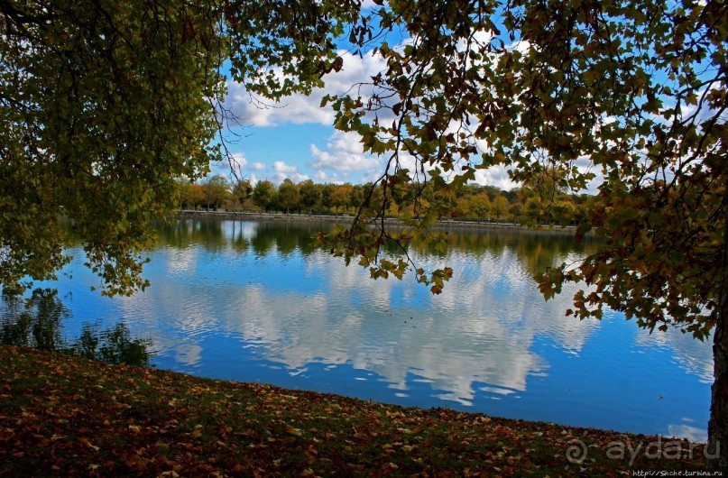 Осенние мотивы. Карповый пруд в Фонтенбло