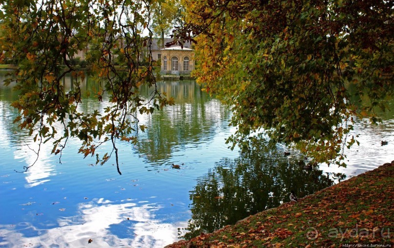 Осенние мотивы. Карповый пруд в Фонтенбло