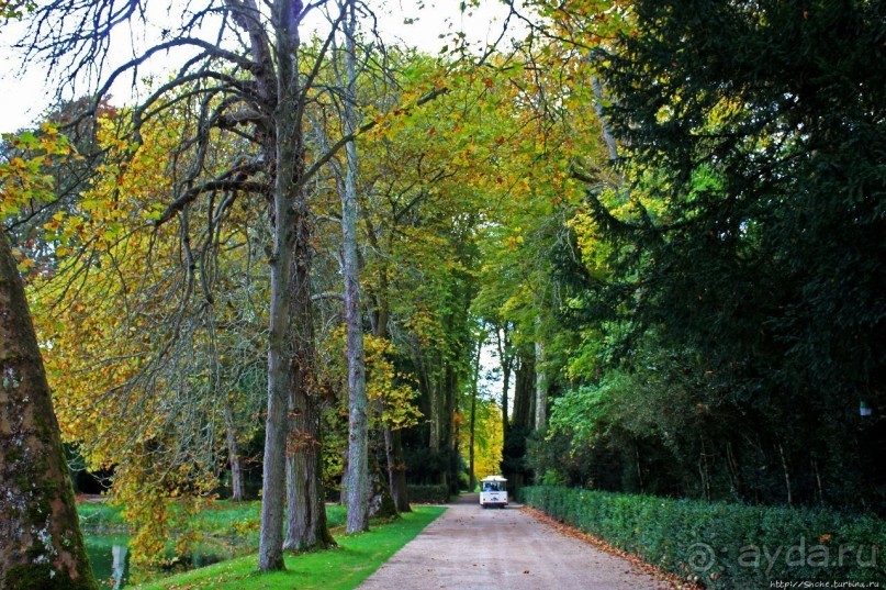 Осенние мотивы. Карповый пруд в Фонтенбло