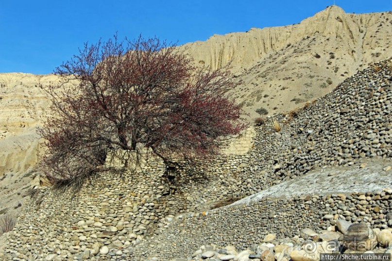 Мустанг. Завершение первого дня, подымаемся из долины реки