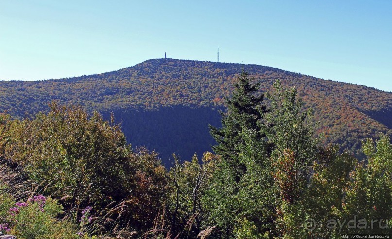 В гостях в Радуги. Адамс, просто Адамс