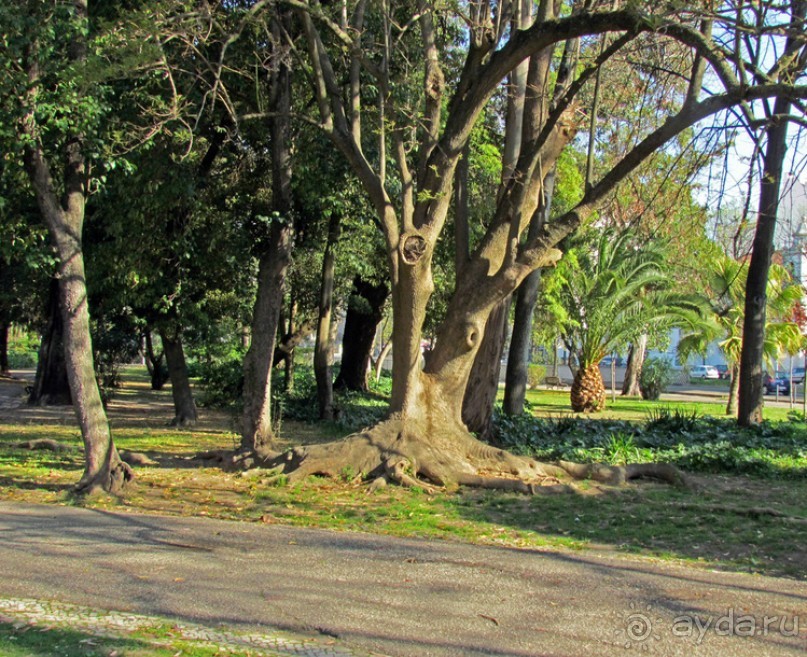 Сад Campo Grande — здесь не ступает нога туриста
