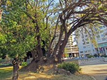 Сад Campo Grande — здесь не ступает нога туриста