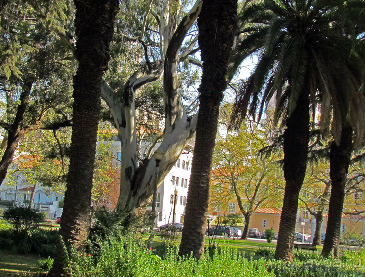 Сад Campo Grande — здесь не ступает нога туриста