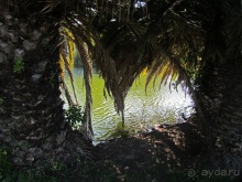 Сад Campo Grande — здесь не ступает нога туриста