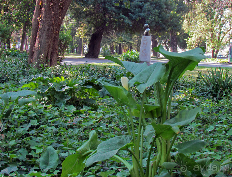 Сад Campo Grande — здесь не ступает нога туриста