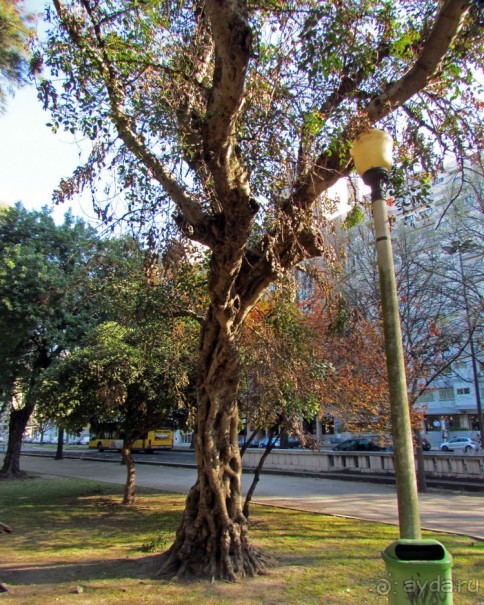 Сад Campo Grande — здесь не ступает нога туриста