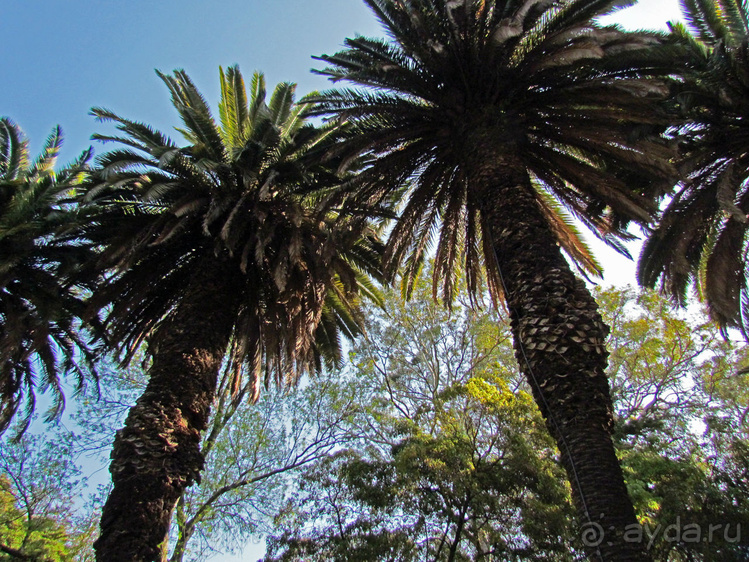 Сад Campo Grande — здесь не ступает нога туриста