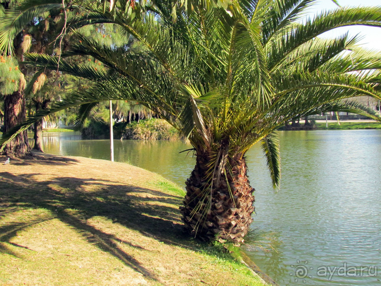 Сад Campo Grande — здесь не ступает нога туриста
