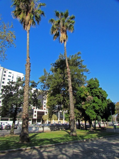 Сад Campo Grande — здесь не ступает нога туриста