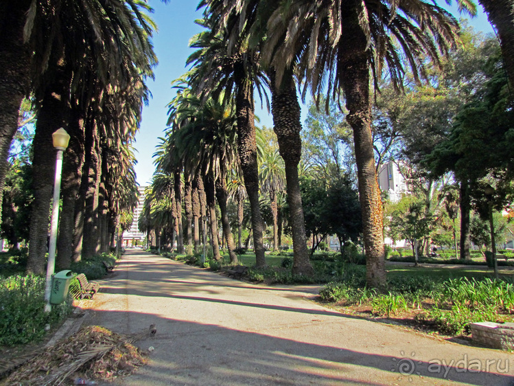 Сад Campo Grande — здесь не ступает нога туриста