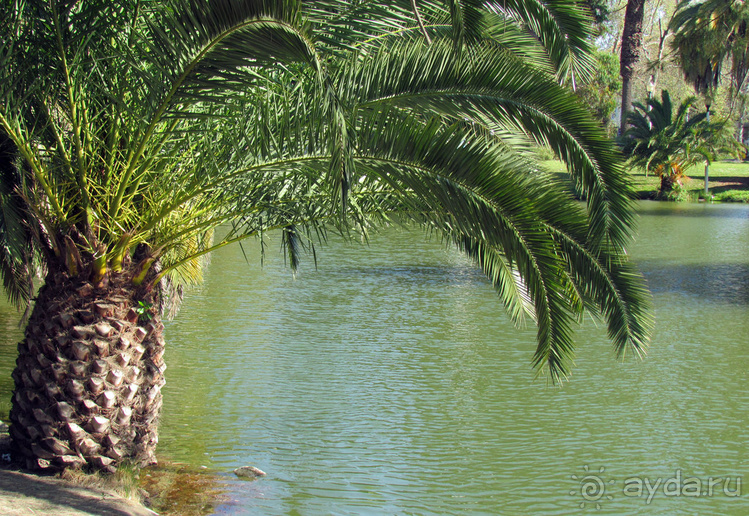 Сад Campo Grande — здесь не ступает нога туриста