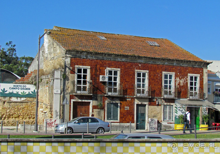 Сад Campo Grande — здесь не ступает нога туриста