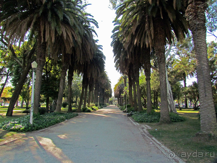 Сад Campo Grande — здесь не ступает нога туриста