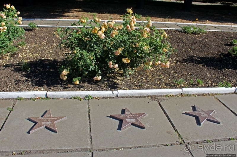 Так сбываются мечты. Прогулки с Ершовым...по Гуляйполю