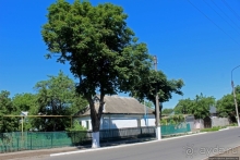 Так сбываются мечты. Прогулки с Ершовым...по Гуляйполю