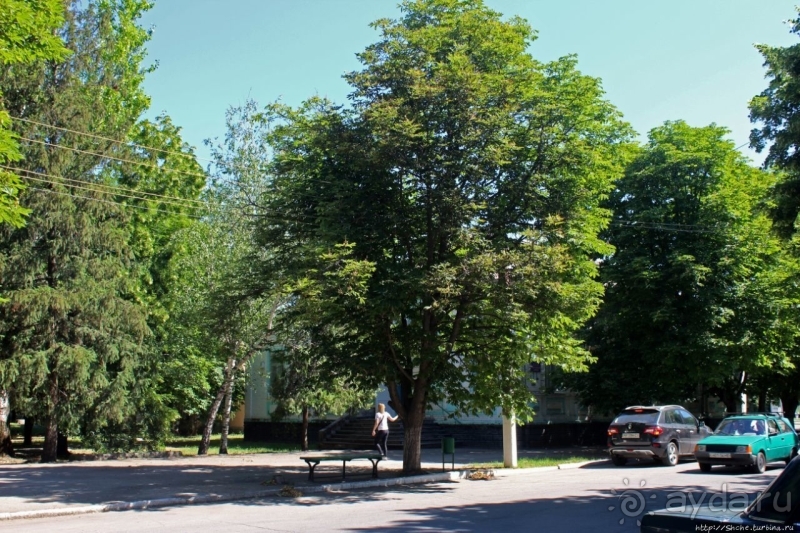 Так сбываются мечты. Прогулки с Ершовым...по Гуляйполю