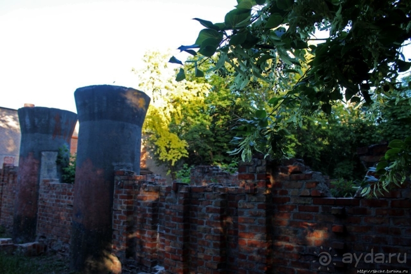 Так сбываются мечты. Прогулки с Ершовым...по Гуляйполю