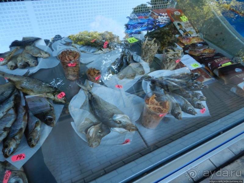 Так сбываются мечты. Прогулки с Ершовым...по Гуляйполю