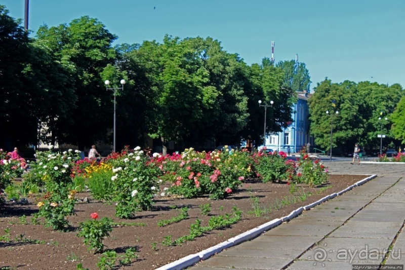 Так сбываются мечты. Прогулки с Ершовым...по Гуляйполю