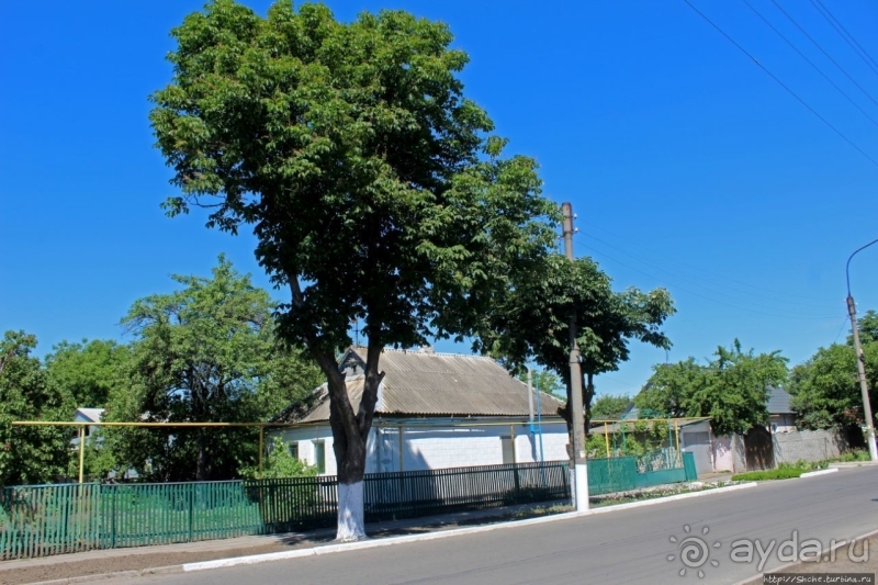 Так сбываются мечты. Прогулки с Ершовым...по Гуляйполю