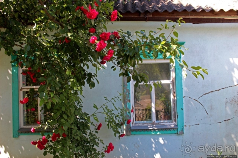 Так сбываются мечты. Прогулки с Ершовым...по Гуляйполю