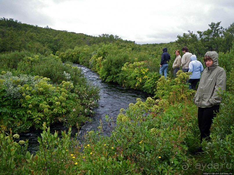 Зеленая Исландия. Каньон Аусбирги