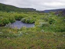 Зеленая Исландия. Каньон Аусбирги