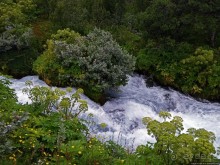 Зеленая Исландия. Каньон Аусбирги