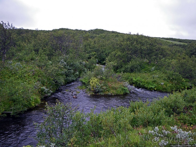 Зеленая Исландия. Каньон Аусбирги